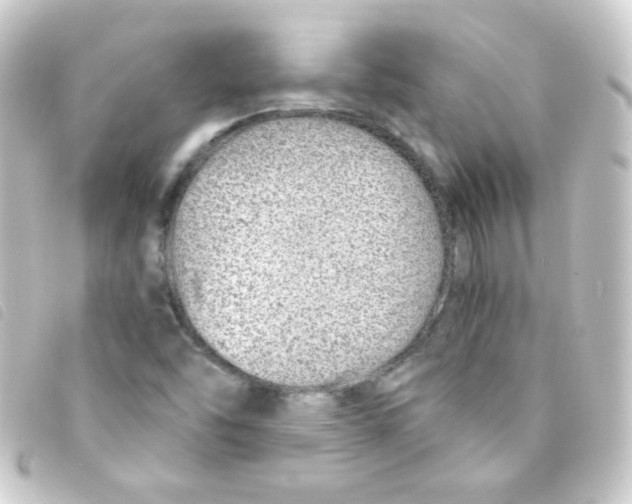 X0000093231454200710241226