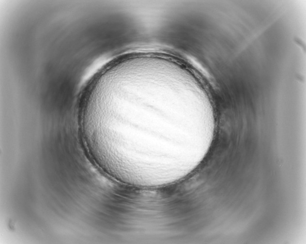 X0000093231456200710241226