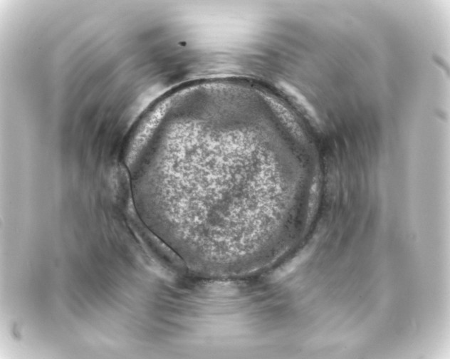 X0000093231457200710241226