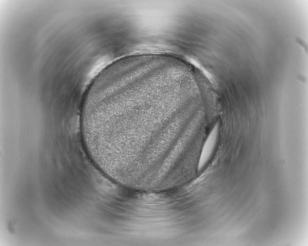 X0000093231459200710241226