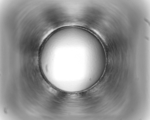 X0000093231460200710241226