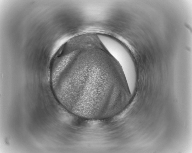 X0000093231461200710241226