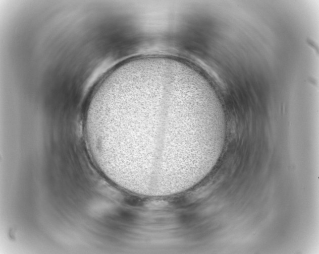 X0000093231462200710241226