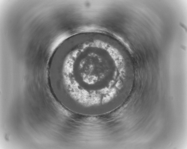 X0000093231463200710241226