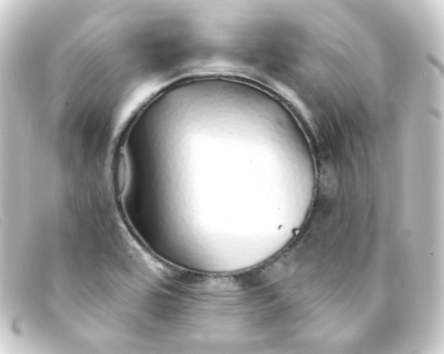 X0000093231464200710241226