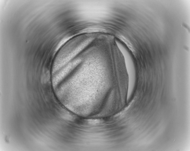 X0000093231465200710241226