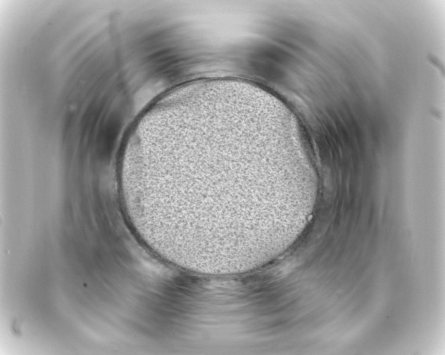 X0000093231466200710241226