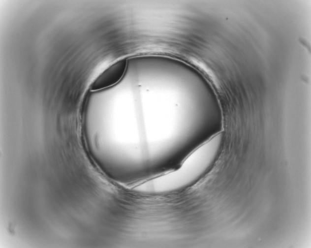 X0000093231467200710241226