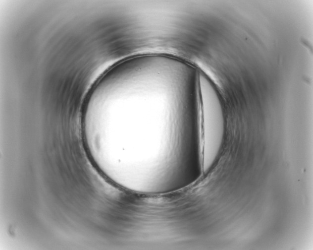 X0000093231468200710241226