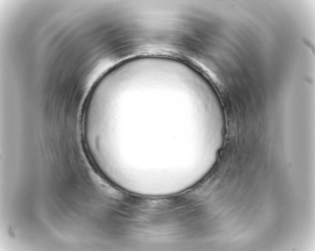 X0000093231471200710241226