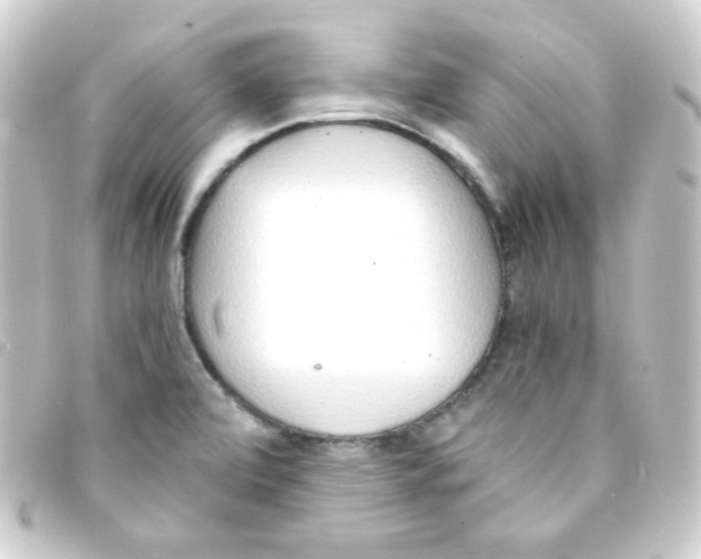 X0000093231472200710241226