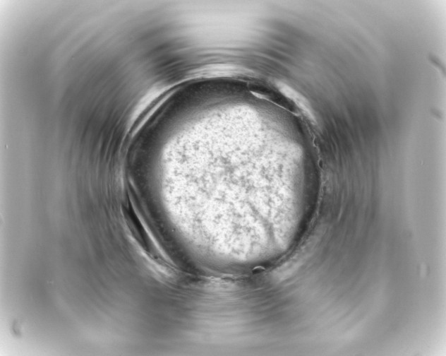 X0000093231473200710241226