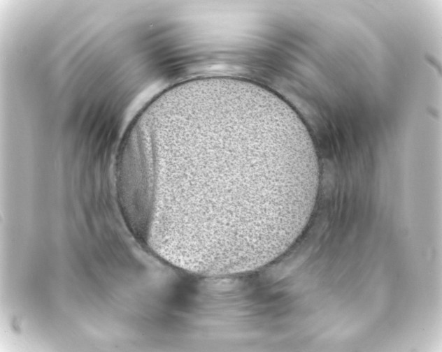 X0000093231474200710241226