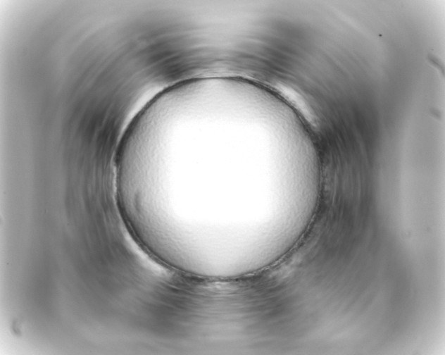 X0000093231476200710241226