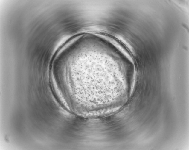 X0000093231477200710241226