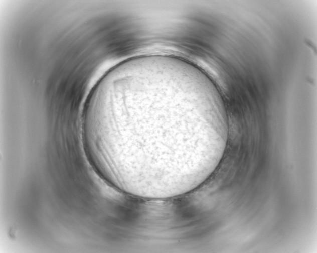 X0000093231478200710241226