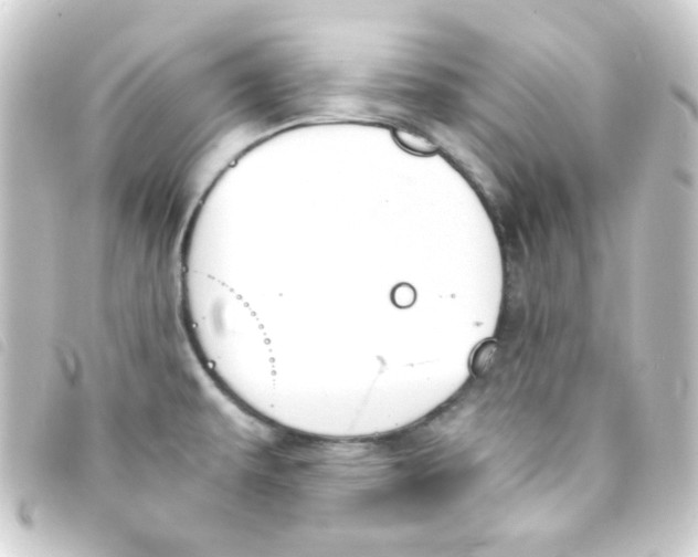 X0000093231479200710241226