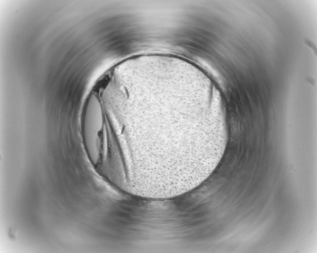 X0000093231480200710241226