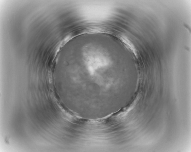 X0000093231481200710241226