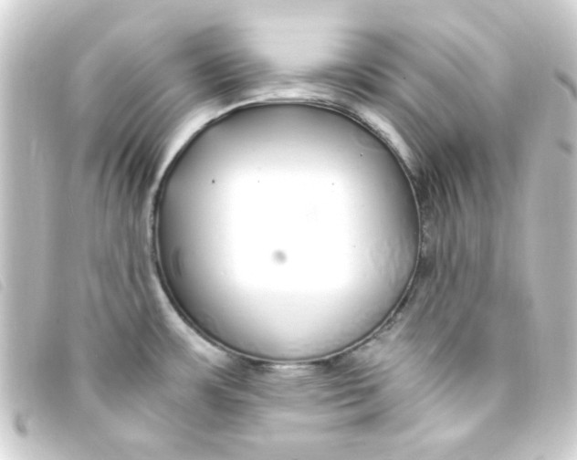 X0000093231483200710241226