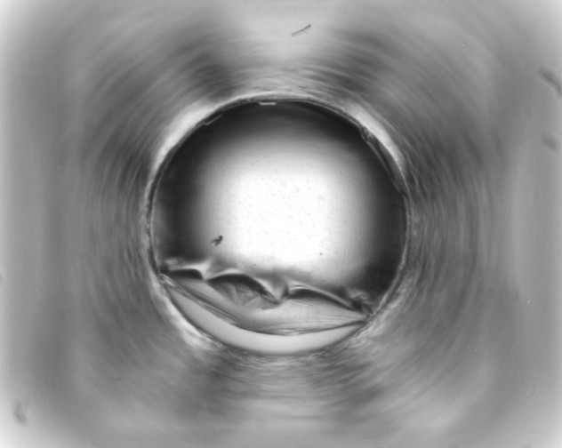 X0000093231485200710241226