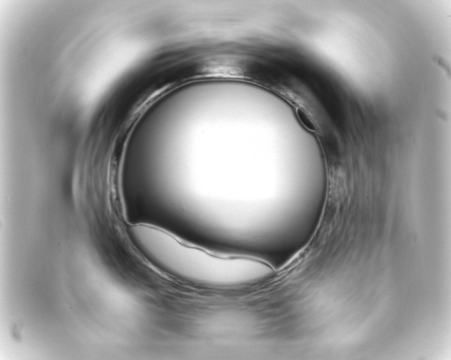 X0000093231487200710241226