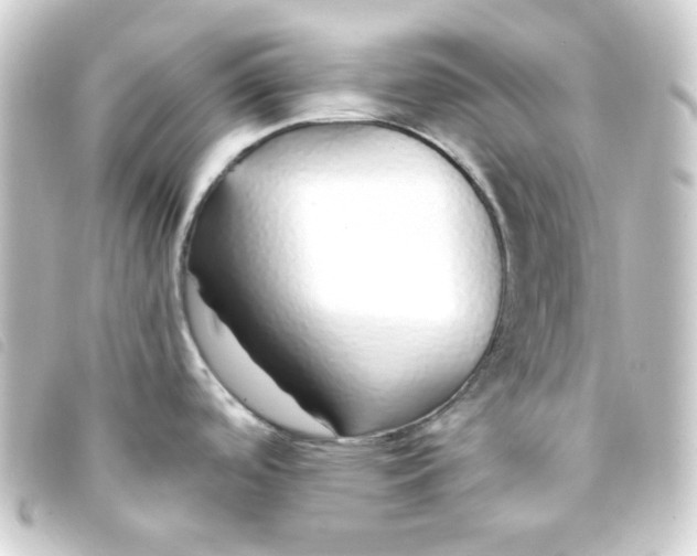 X0000093231488200710241226