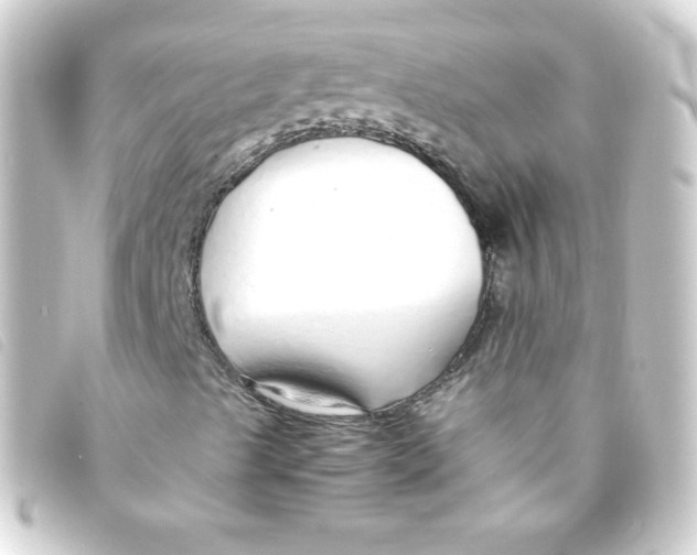 X0000093231489200710241226