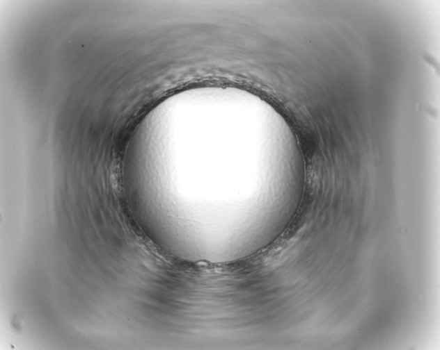 X0000093231490200710241226