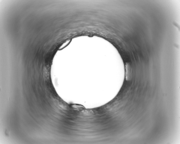 X0000093231491200710241226