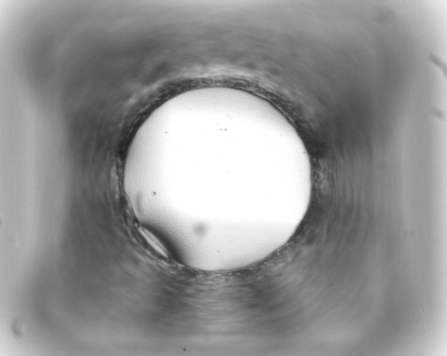 X0000093231493200710241226