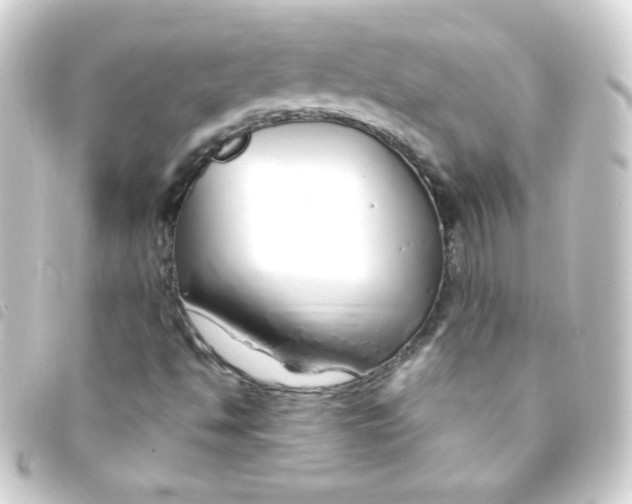 X0000093231494200710241226