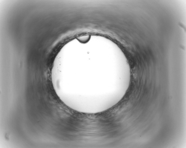 X0000093231495200710241226