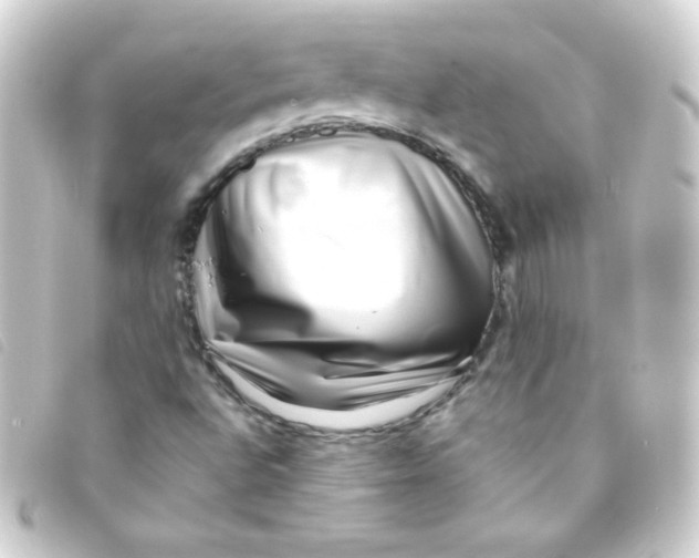 X0000093231496200710241226