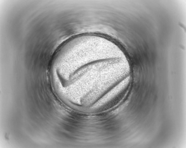 X0000093231497200710241226