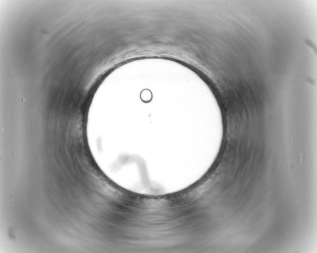 X0000093231498200710241226