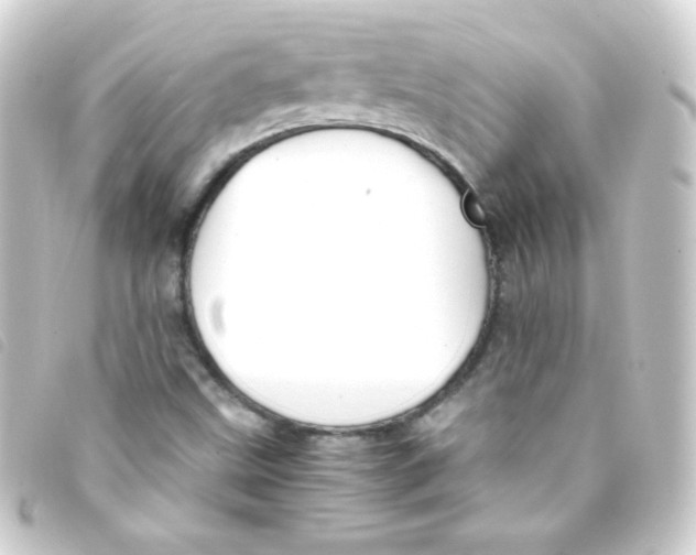 X0000093231499200710241226