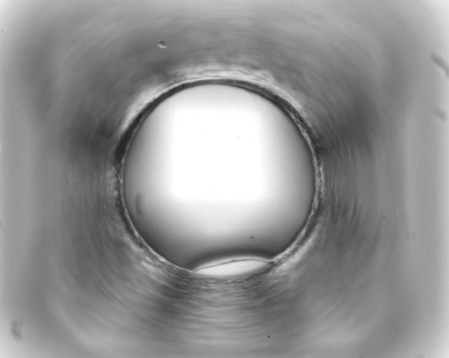 X0000093231501200710241226