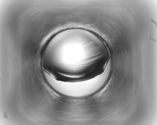 X0000093231502200710241226