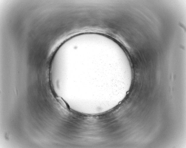 X0000093231504200710241226