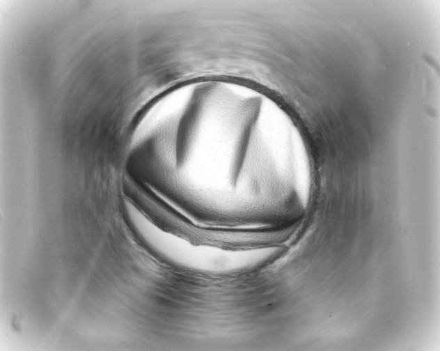 X0000093231505200710241226