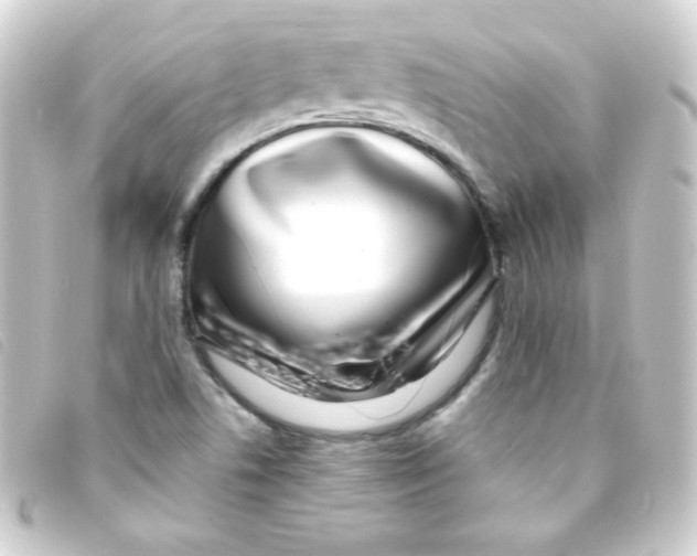 X0000093231506200710241226