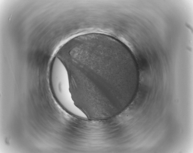 X0000093231508200710241226