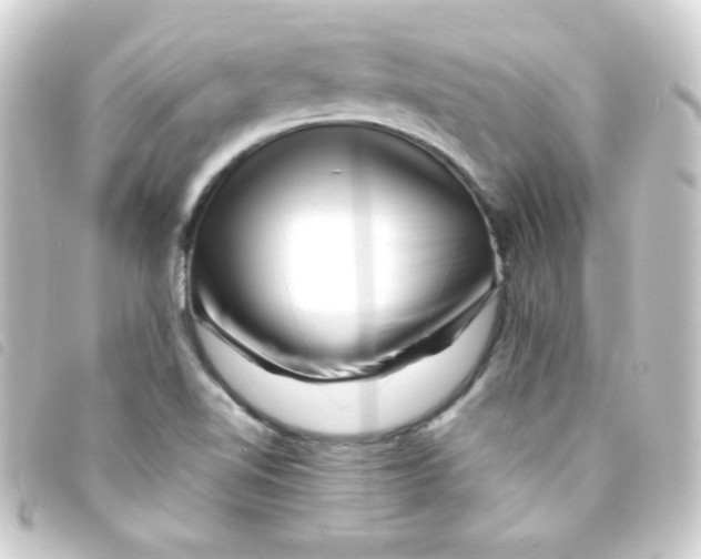 X0000093231510200710241226