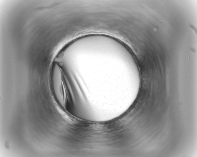 X0000093231511200710241226