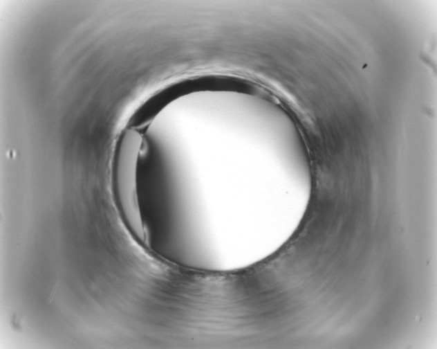 X0000093231512200710241226