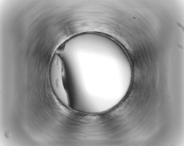 X0000093231513200710241226