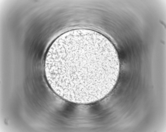 X0000093231514200710241226