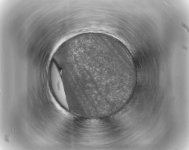 X0000093231515200710241226