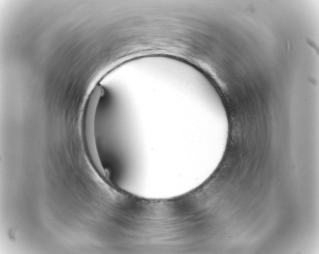 X0000093231516200710241226